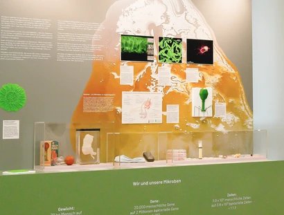 genid-eb1daf00d85749978505faa57336b74932994951-b12