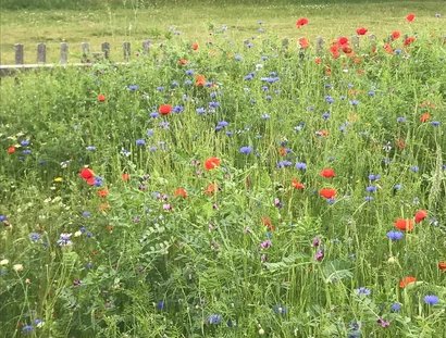 genid-f342301f14474fc8842de2d7e60cbf846408182-b22