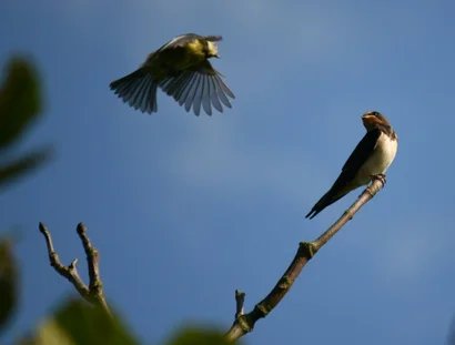 genid-f342301f14474fc8842de2d7e60cbf846446167-b11