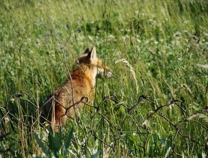 genid-f342301f14474fc8842de2d7e60cbf846533299-b11