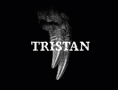 KEY VISUAL Tristan