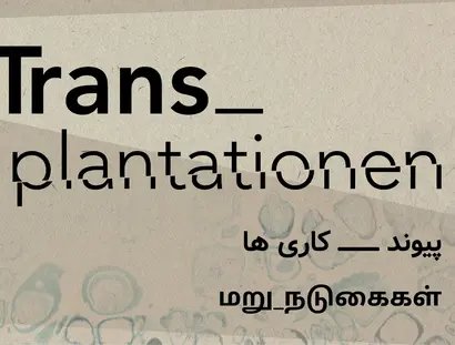 VISUAL Trans_plantationen