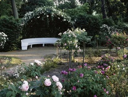 Veranstaltungen in Berlin: Die Königin der Blumen muss gepflegt werden