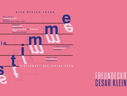 VISUAL Die Stimme