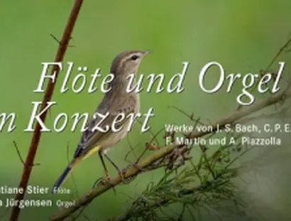 VISUAL Flöte und Orgel im Konzert