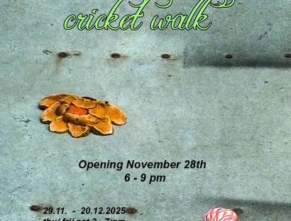 VISUAL cricket walk | Bella Bram