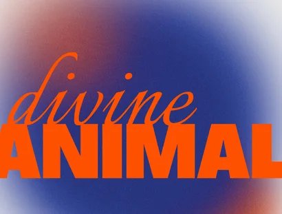 VISUAL Divine Animal