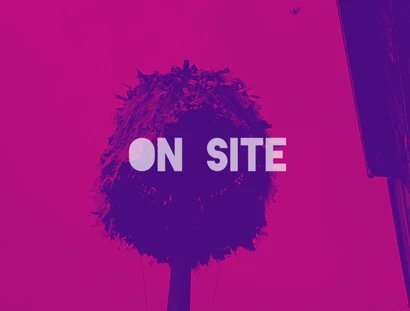 VISUAL PINK YOU FEST: ON SITE