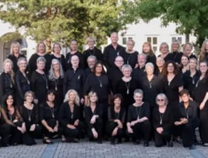 Ensemble "Amazing Voices"