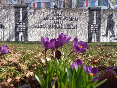 Veranstaltungen in Berlin: Ein Baum für Ben
