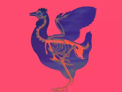 Veranstaltungen in Berlin: Das Huhn lügt