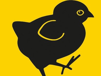 VISUAL samt & sonders