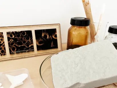 Cellulose: Von Nano bis Makro