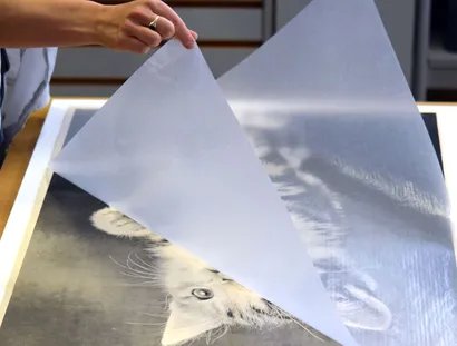 Ausstellungsvorbereitung „Yes to all“