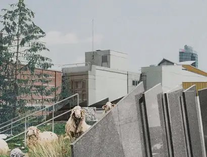 Carl Wolff, Das Kulturforum als Landschaft