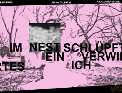 Im Nest schlüpft