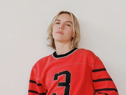 THE JAPANESE HOUSE