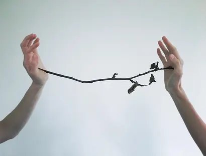 Everyone is a bit of a horse