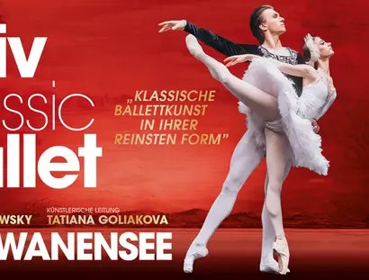 VISUAL Kyiv Classic Ballet - Schwanensee