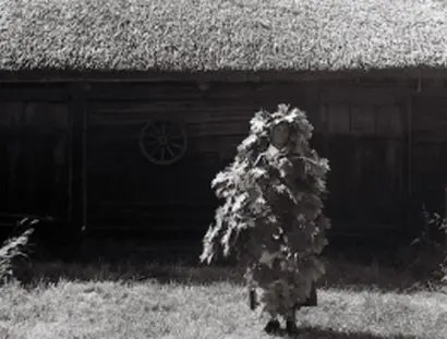 Steine, die atmen, Wind, der singt