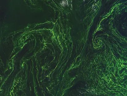 Copernicus Sentinel data (2015)_ESA