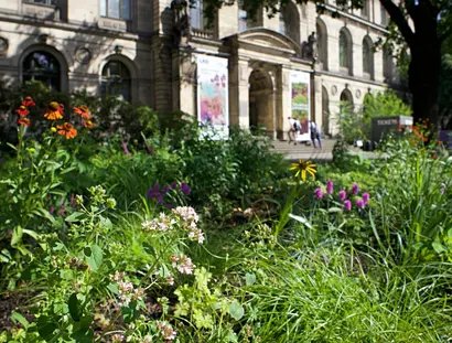 Blick auf den blühenden Pollinator Garten auf dem Vorplatz des Museums