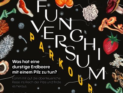 Funghiversum parkour, Flyer