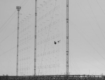 Butterflies (Haarp), 2020