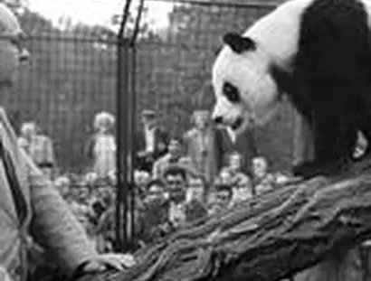 Heinrich Dahthe mit Panda ChiChi
