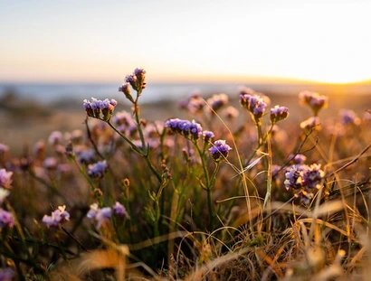 Wildblumen im Herbst