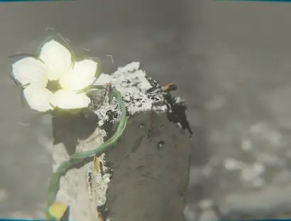 Film "Where the Jasmine Always Blooms" by Husein Bastouni