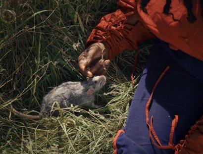 VISUAL Workshop: Queer Trash Ecologies - Feeling, Film, and Collective Imagination with Elisa Mohr