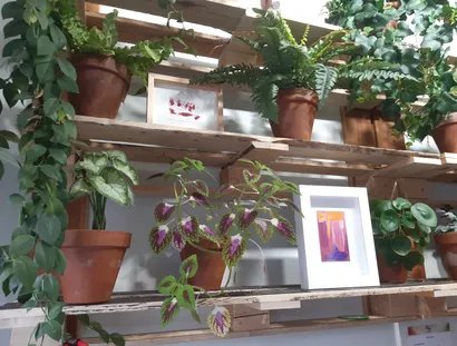 Pflanzen und Kunst