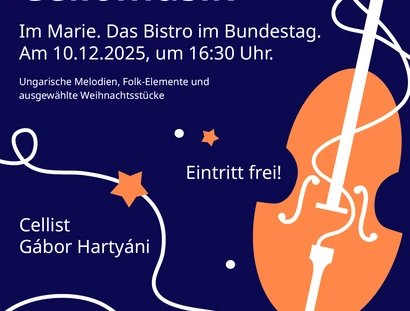 Poster vom Cellokonzert