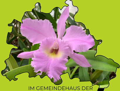 KEY VISUAL 2. Orchideenausstellung in Berlin Hermsdorf