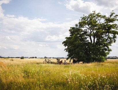 Tempelhofer Feld
