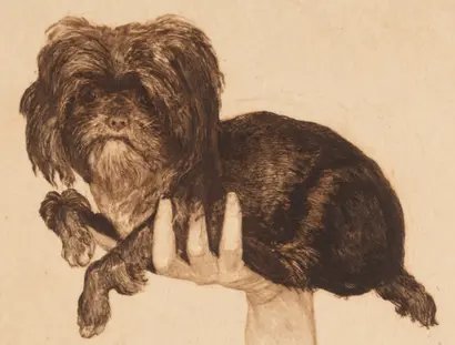Max Klinger, Tjou-Tjou (Bildnis eines Hundes), 1883, Radierung und Kaltnadel, Staatliche Kunstsammlungen Dresden, Kupferstich-Kabinett