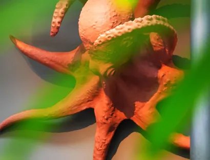 Root
