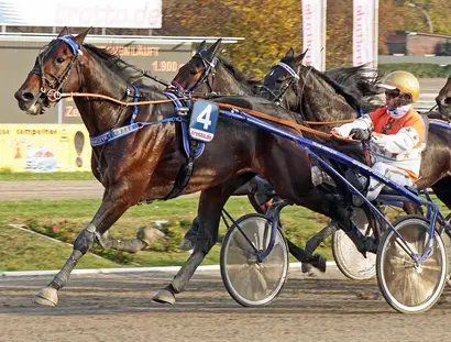 Der 14-malige Deutsche Meister Michael Nimczyk mit Hengst Aladin