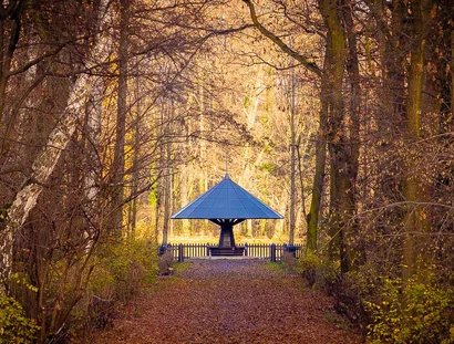 Mann mit Hut Touren - Der Volkspark Jungfernheide