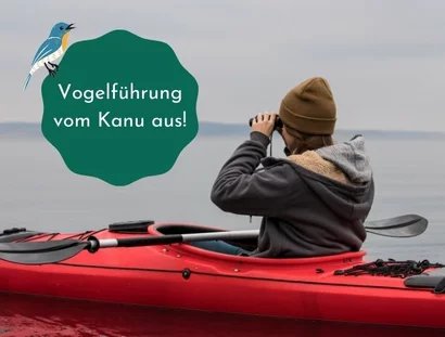 KEY VISUAL Vogelexkursion vom Kanu aus