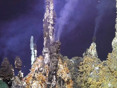 Inferno Vent with chimlets at ASHES Hydrothermal field with sulfide worms