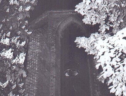 Klosterruine im Klosterviertel in Berlin