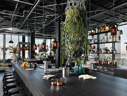 Monkey Bar
