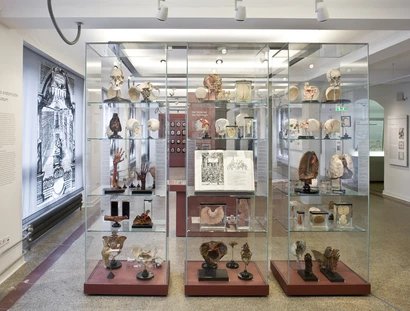 Museo di storia della medicina della Charité, sala espositiva