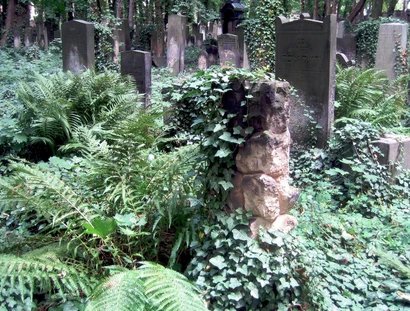Überwucherte Grabsteine auf dem Jüdischer Friedhof in der Schönhauser Allee