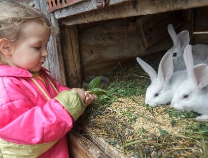 farm for children