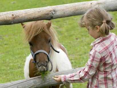 Mädchen füttert ein Pony