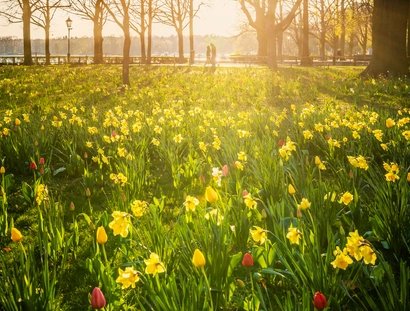 Frühling am Tegeler See