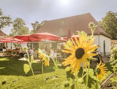 Sommercafe im Landhausgarten Dr. Max Fränkel